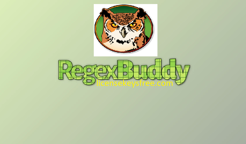 RegexBuddy Crack Fully Activated License key