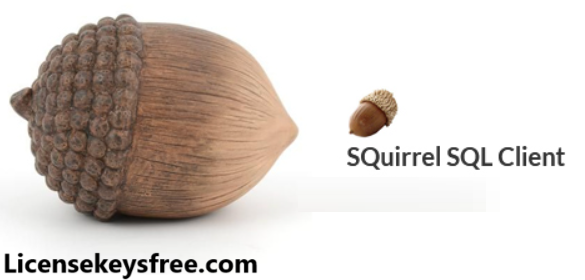 SQuirrel SQL Client 4.8.0 Crack With License Key 2025 Glanteen.Com